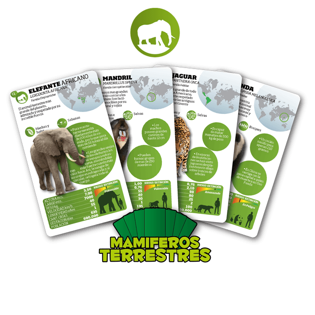 Luminias Grandes Mamíferos Terrestres Luminias Grandes Mamíferos Terrestres